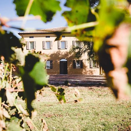 Agriturismo Vitae Fabbrico Kültér fotó