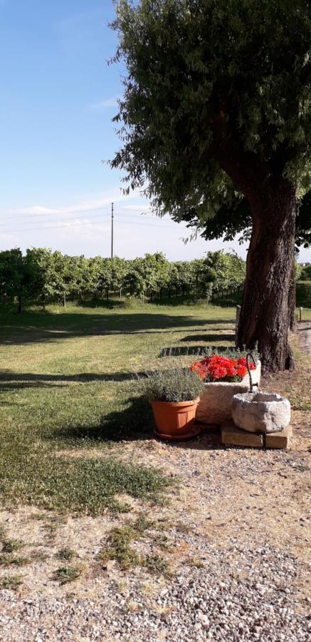 Agriturismo Vitae Fabbrico Kültér fotó