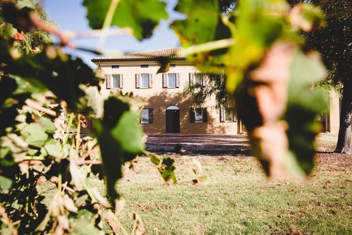 Agriturismo Vitae Fabbrico Kültér fotó