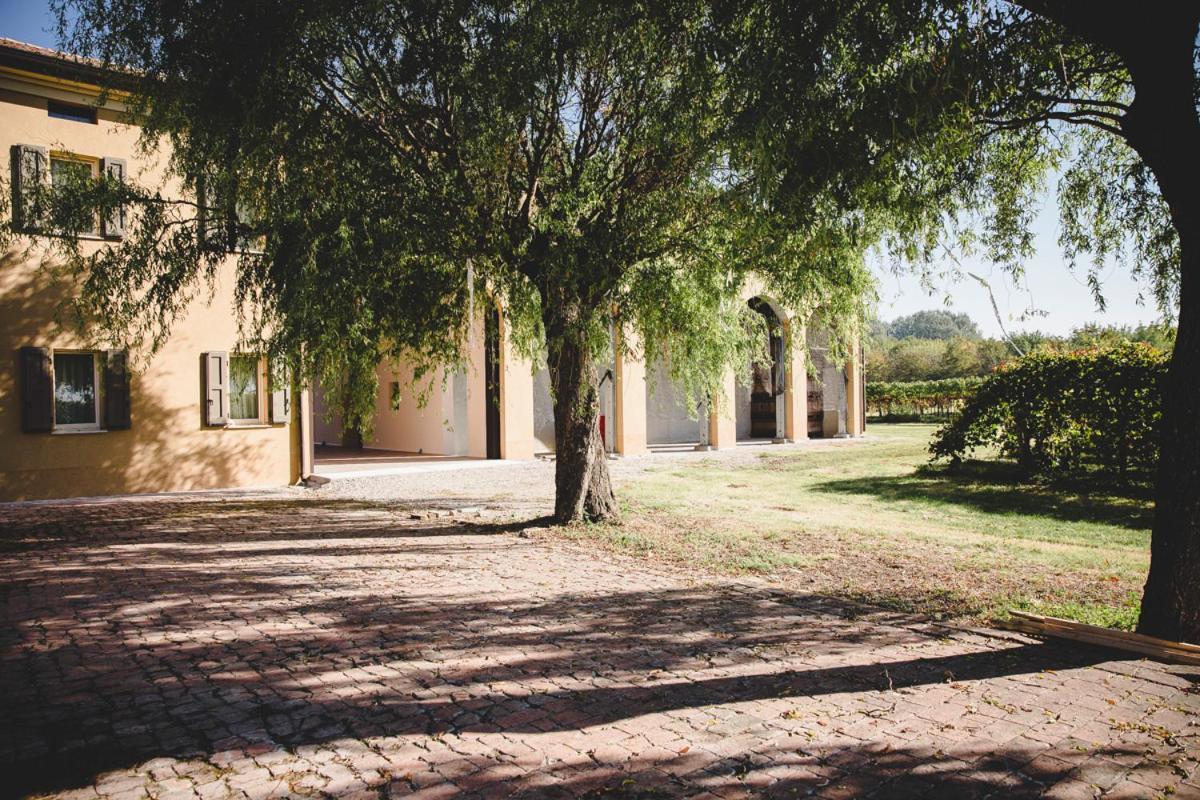 Agriturismo Vitae Fabbrico Kültér fotó