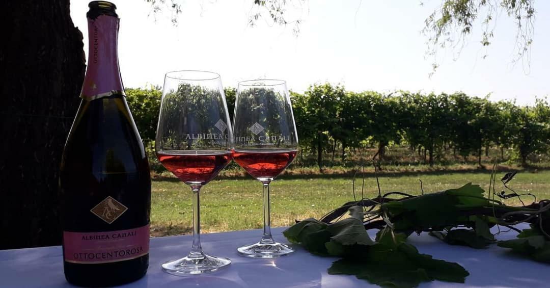 Agriturismo Vitae Fabbrico Kültér fotó