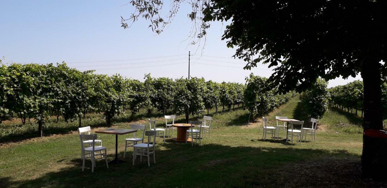 Agriturismo Vitae Fabbrico Kültér fotó