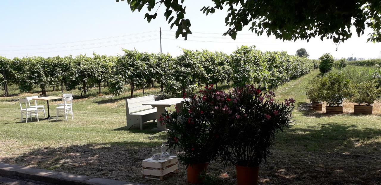 Agriturismo Vitae Fabbrico Kültér fotó