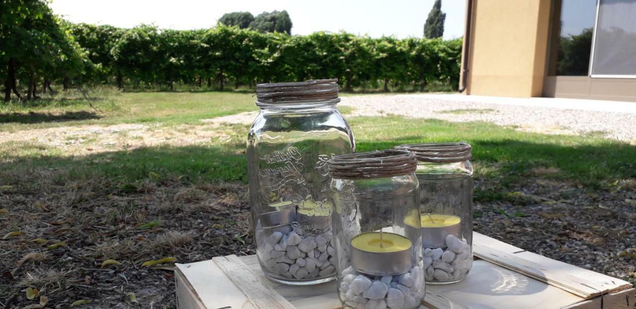 Agriturismo Vitae Fabbrico Kültér fotó