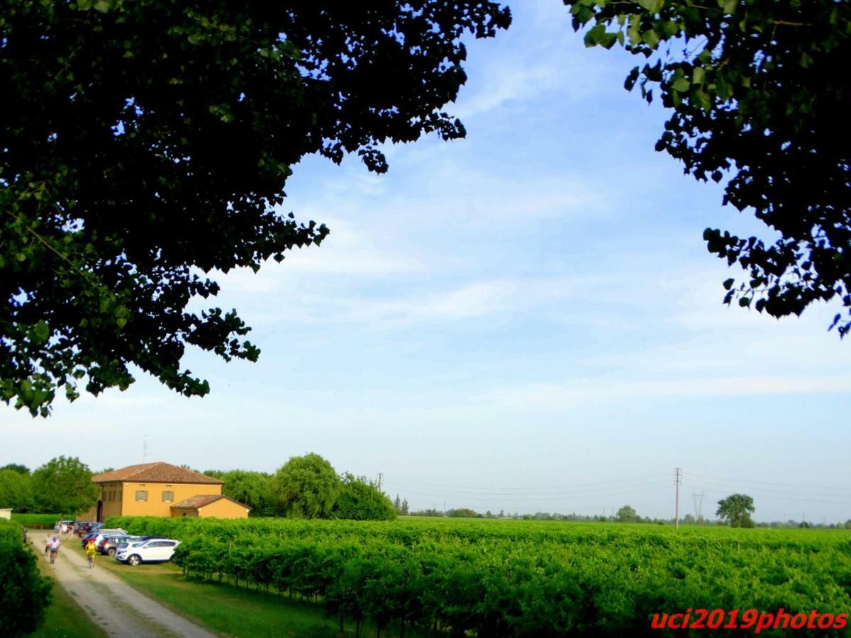 Agriturismo Vitae Fabbrico Kültér fotó